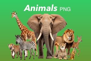 Animals