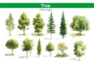 Trees